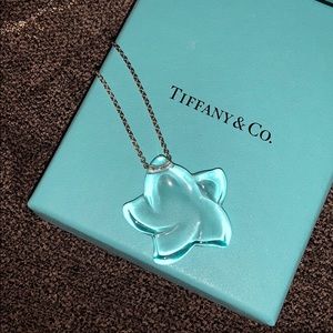 New Tiffany & Co Necklace